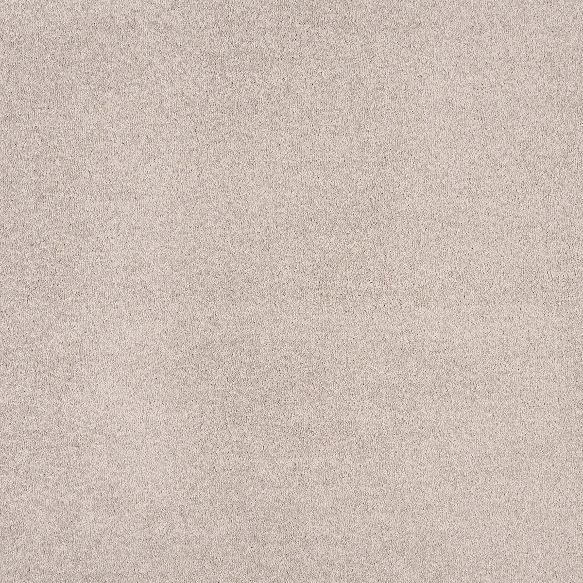Sibelle Carpet