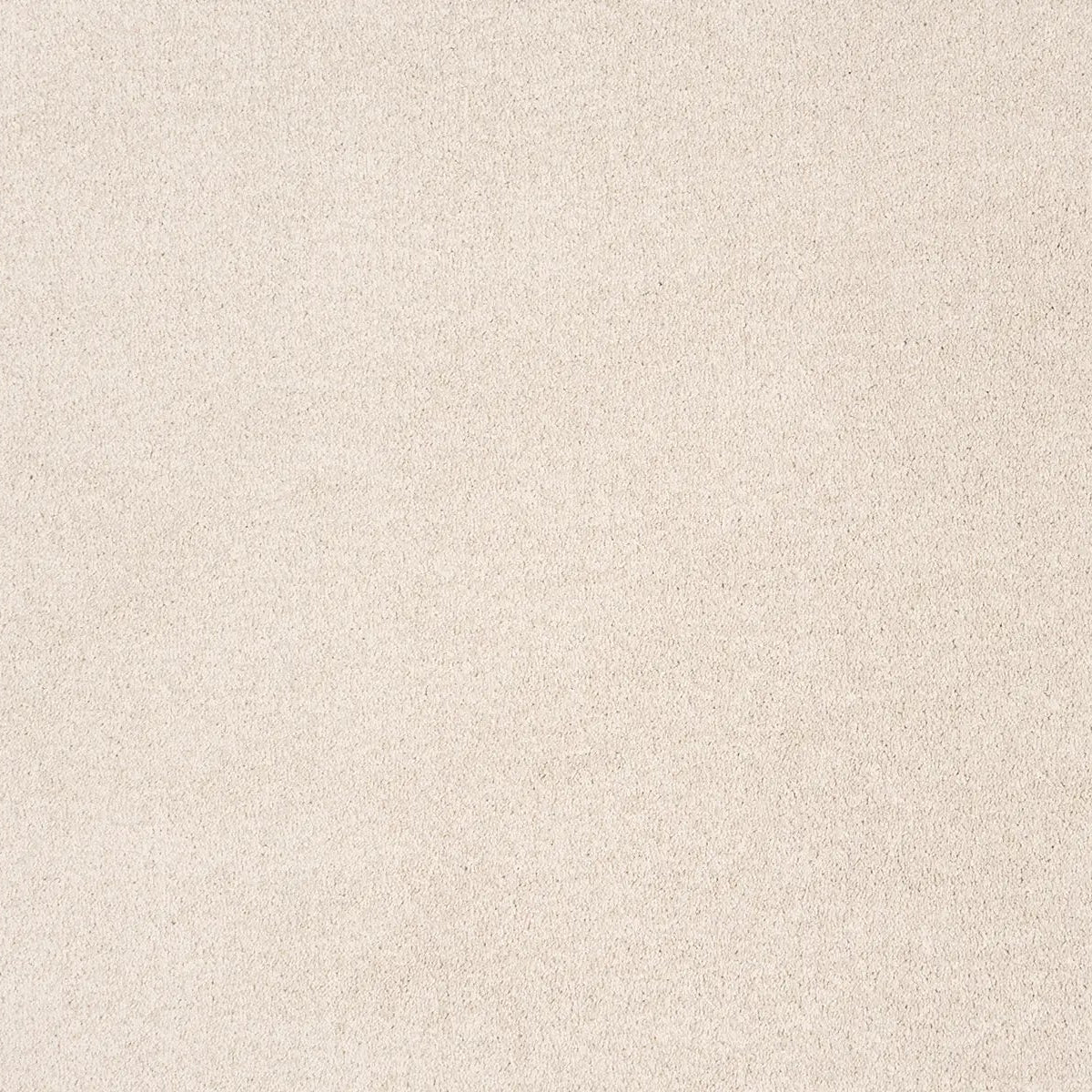 Sibelle Carpet