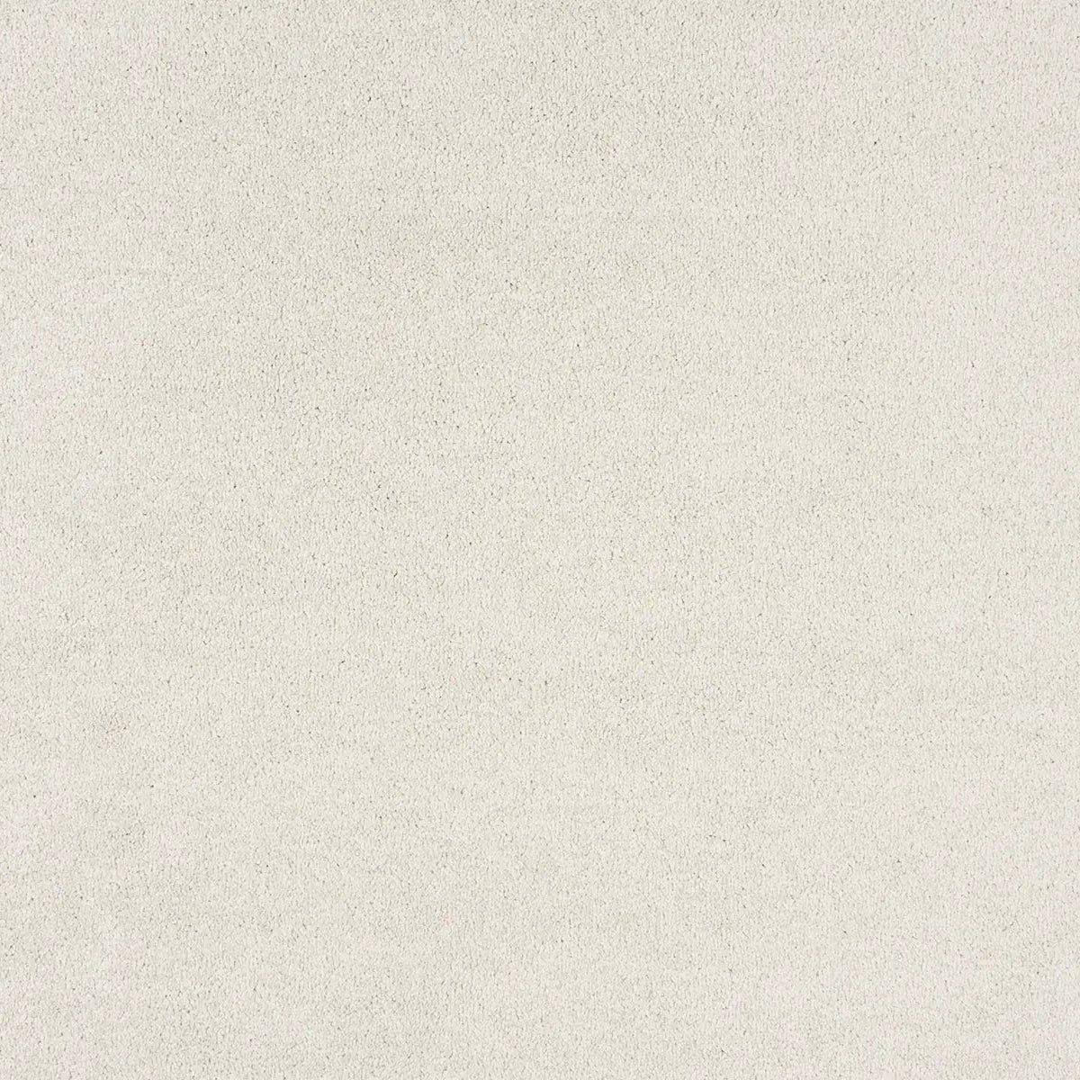 Sibelle Carpet