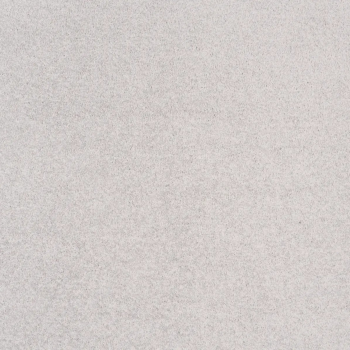 Sibelle Carpet