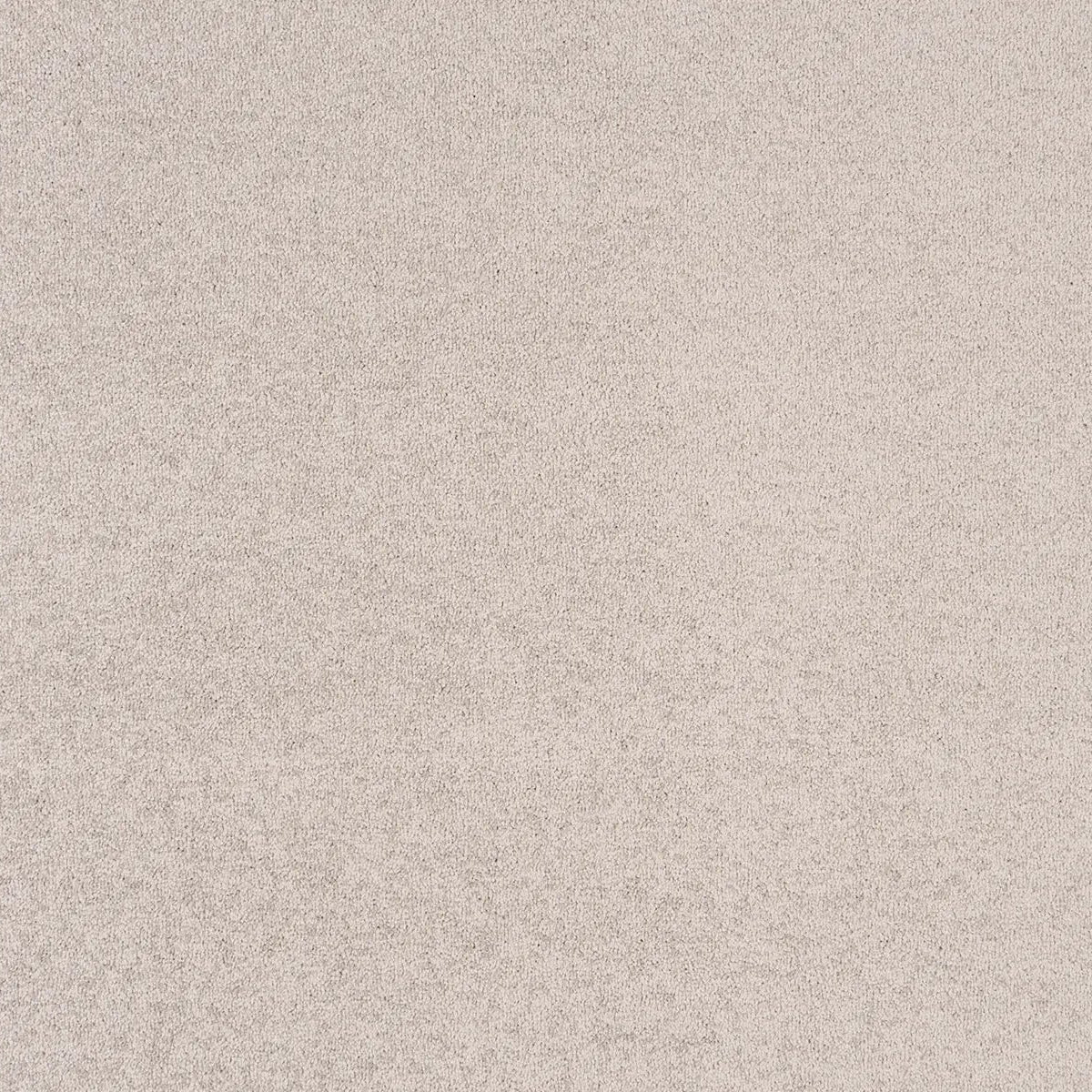 Sibelle Carpet