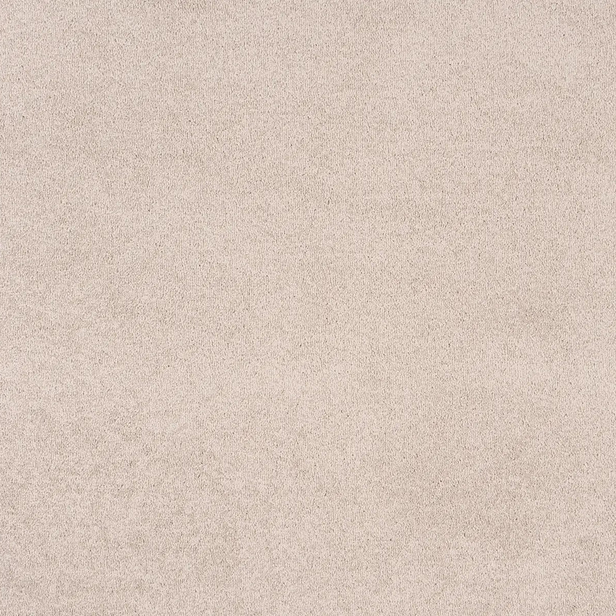 Sibelle Carpet
