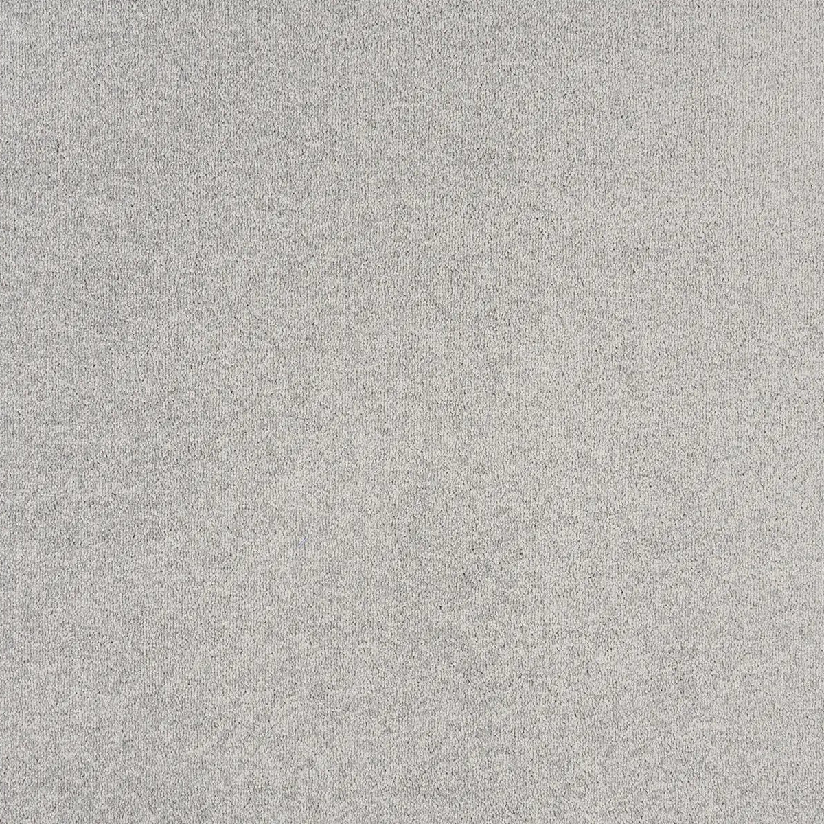 Sibelle Carpet