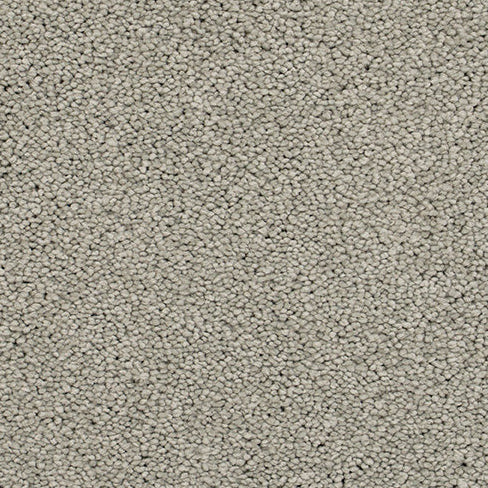 Natural beige Cut Pile Twist Carpet.