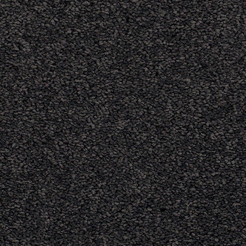 Dark Cut Pile Twist carpet, Oceanside.