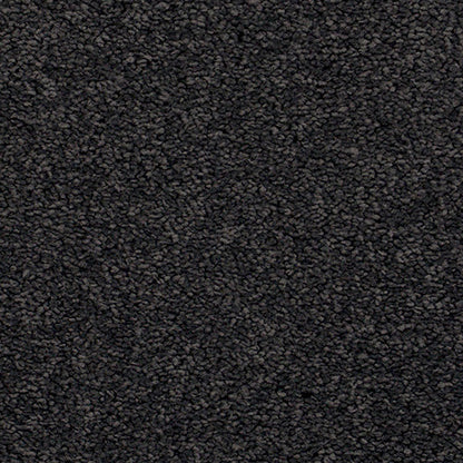 Dark Cut Pile Twist carpet, Oceanside.