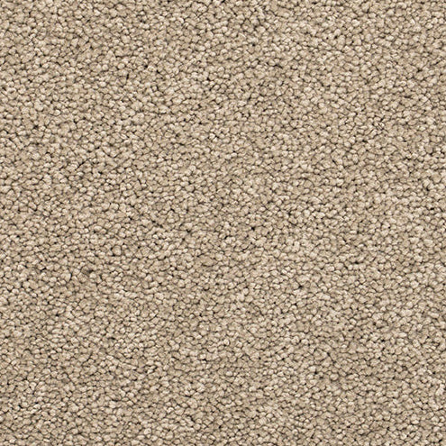 Textured Cut Pile Twist  beige carpet in Sand Bar. 