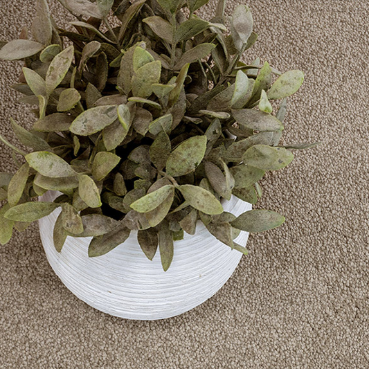 Spring Cove carpet and plant pot. 