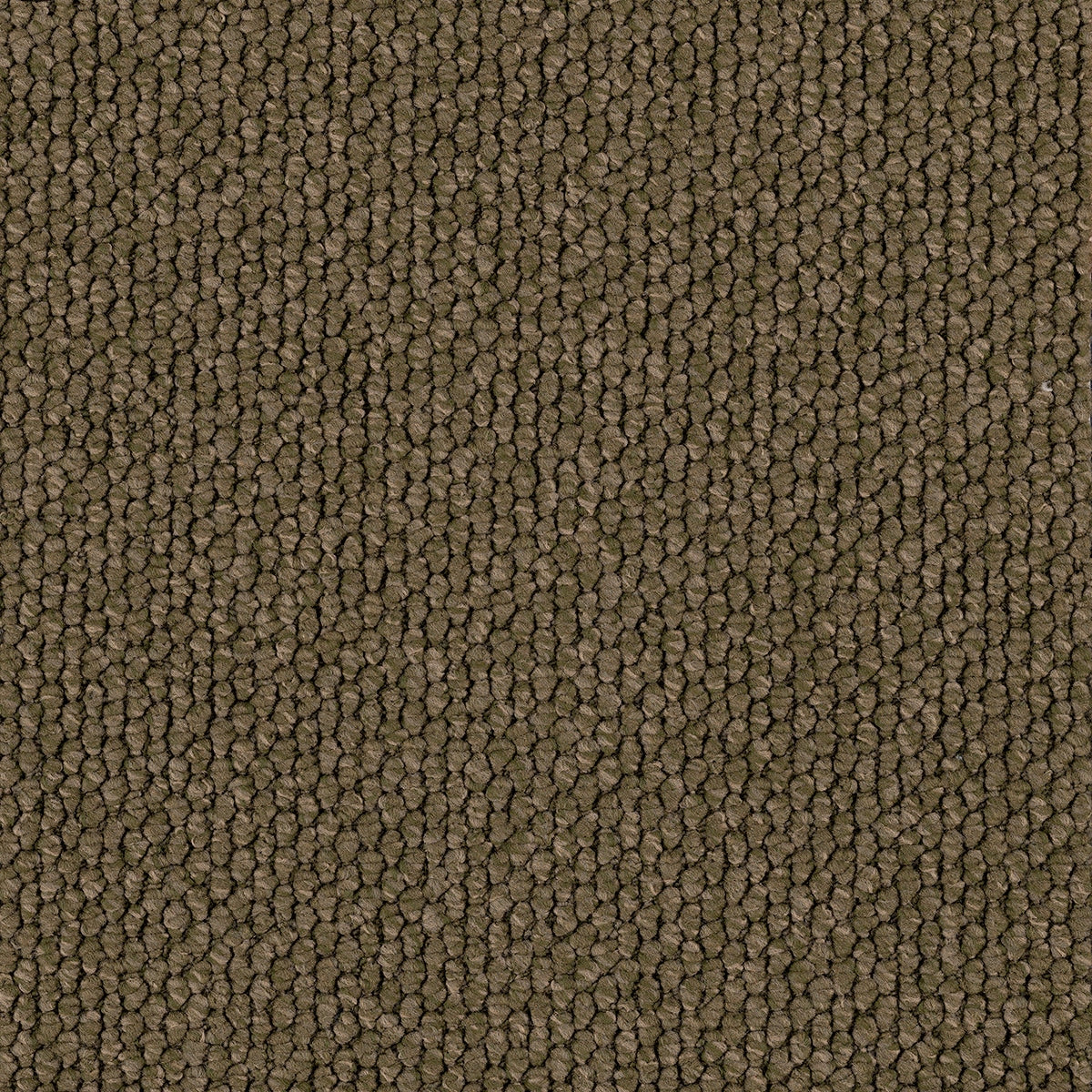 Flinders Gorge Carpet