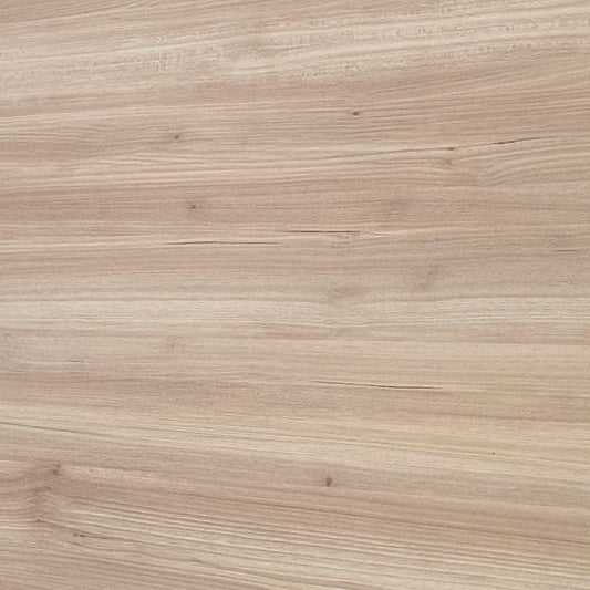 Close-up of Tassie Oak