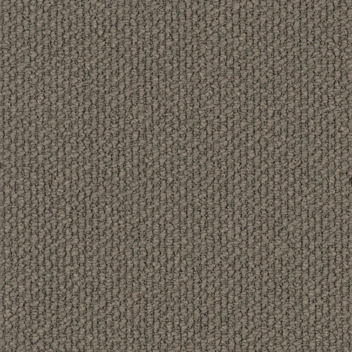 Montrosa Carpet