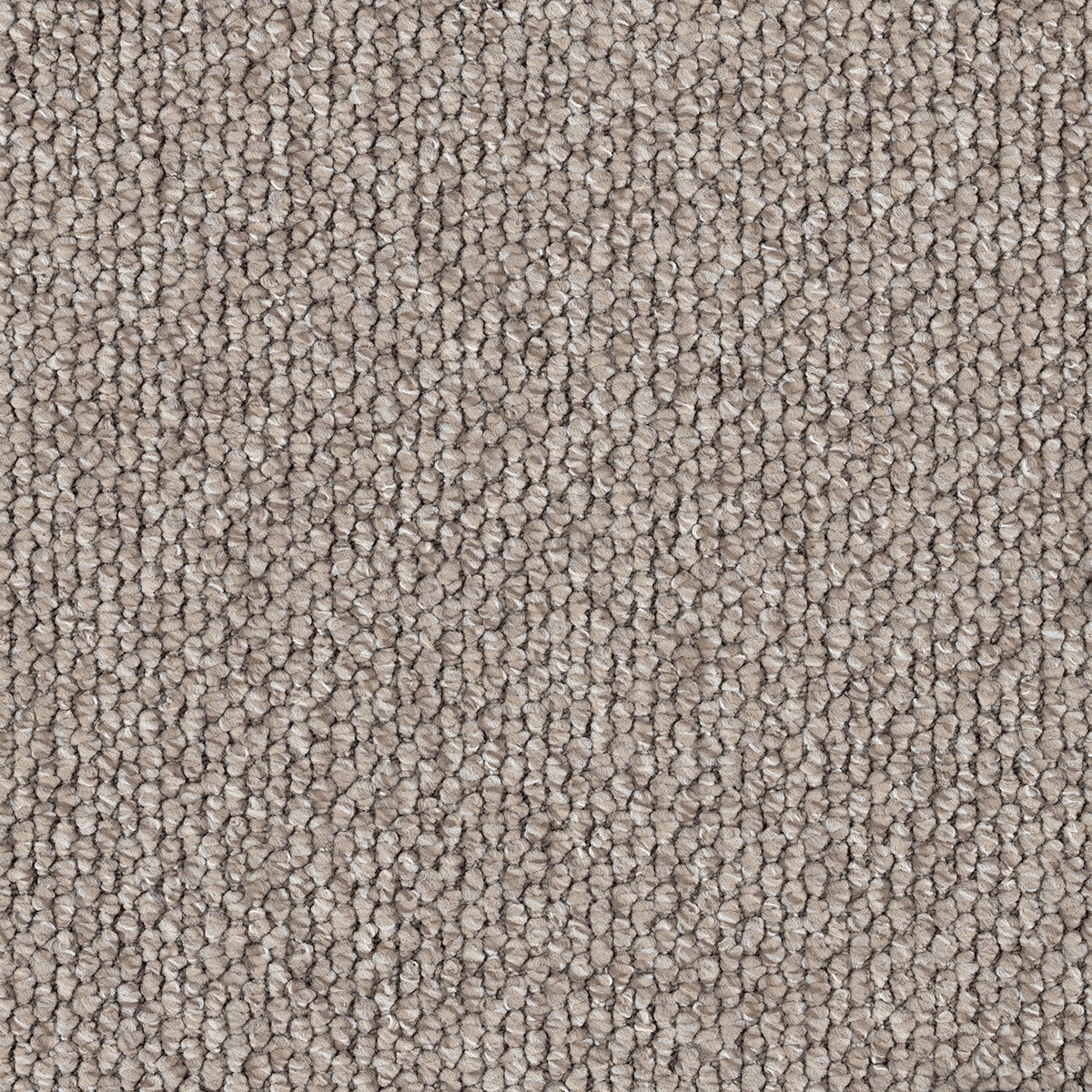 Flinders Gorge Carpet