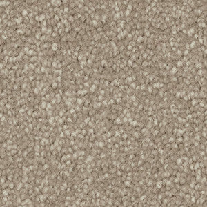 Close-up of beige carpet with cream flecks. 