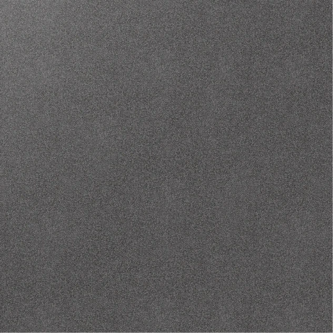 Plush triexta carpet texture by Godfrey Hirst in darker grey