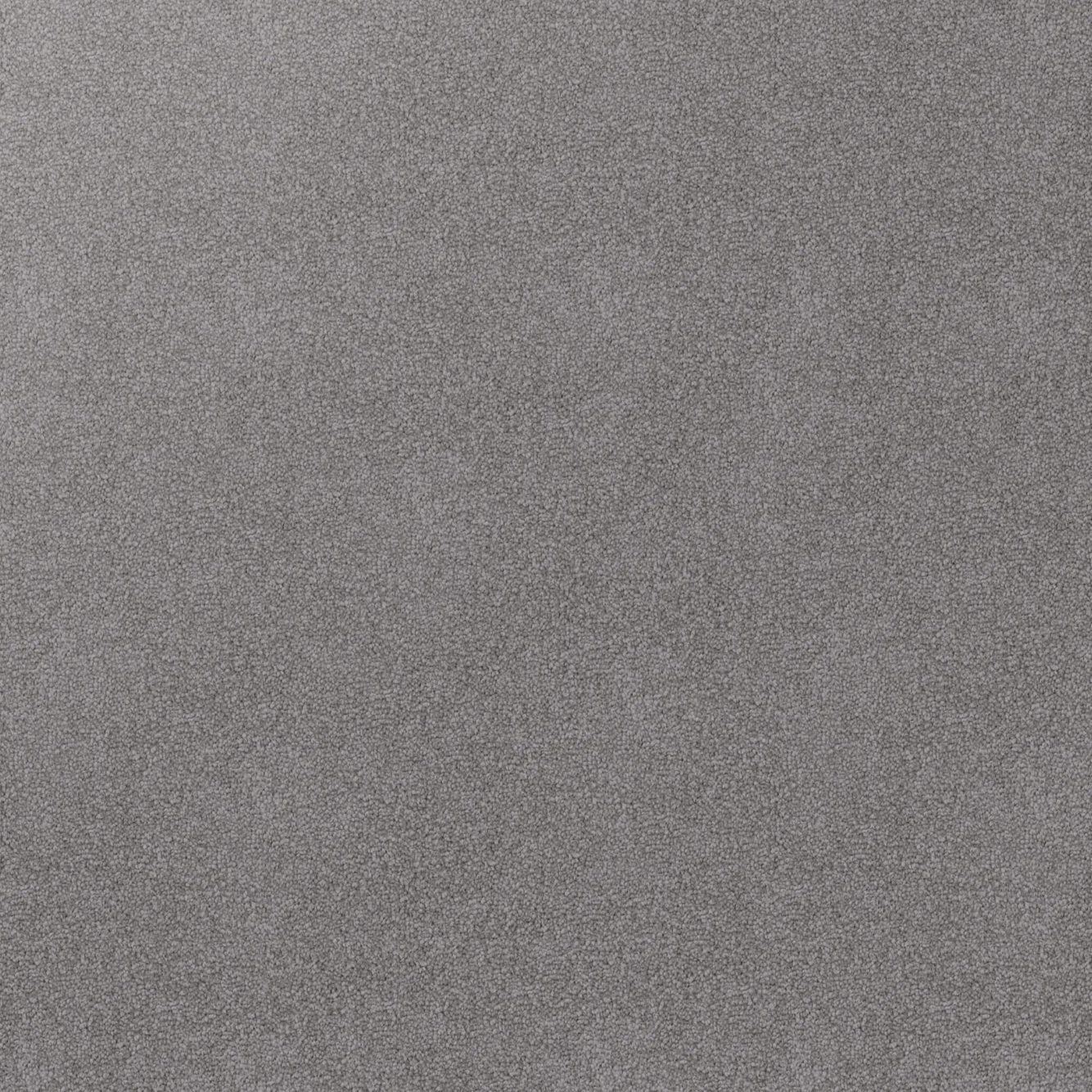 Close-up texture of Soft Sunrise triexta carpet fibres in grey