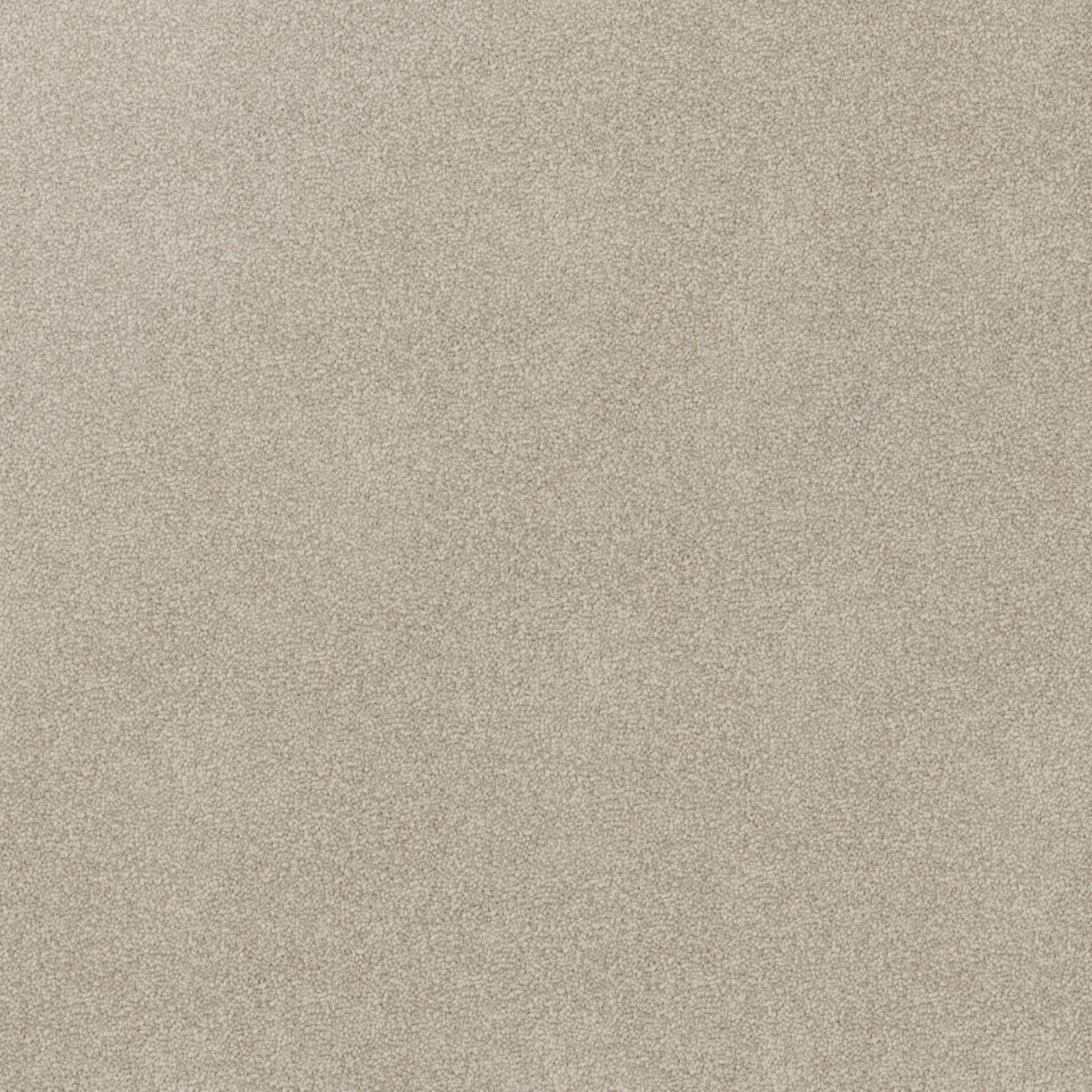 Close-up of a textured gray-beige carpet