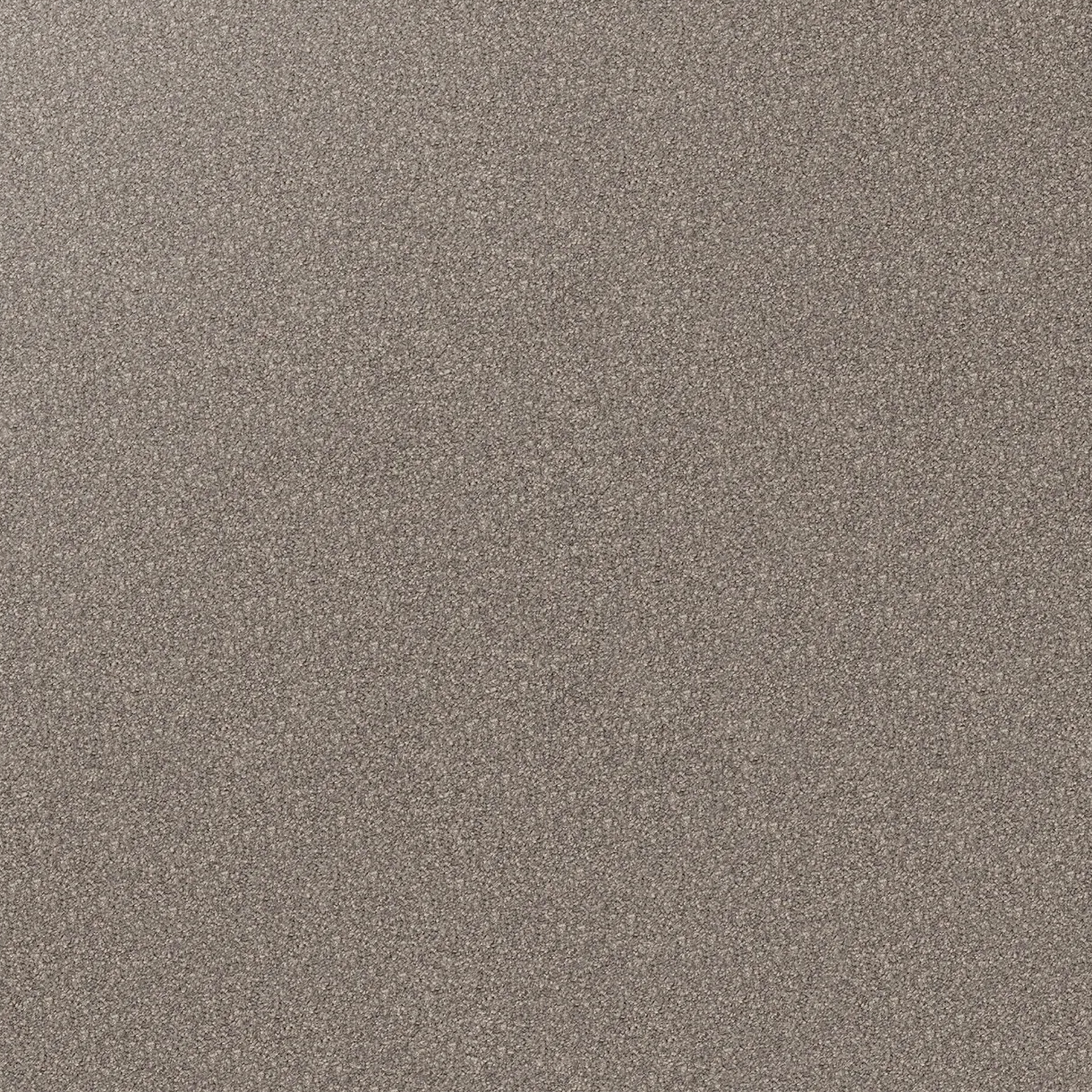 Regal Elegance Carpet