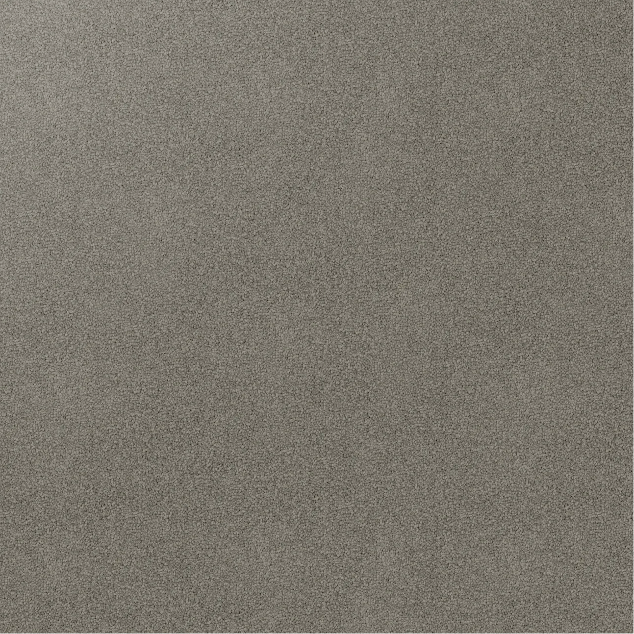 Godfrey Hirst Inspirational Arctic Grey carpet sample showing soft cut pile twist texture in a neutral grey tone