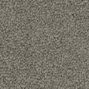 Close up of Godfrey Hirst Inspirational Arctic Grey carpet sample showing soft cut pile twist texture in a neutral grey tone