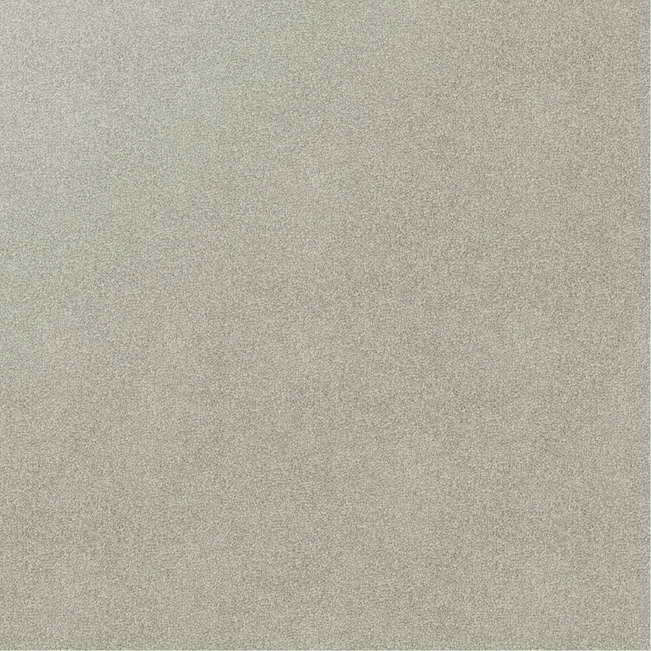 Solid light gray colour carpet swatch