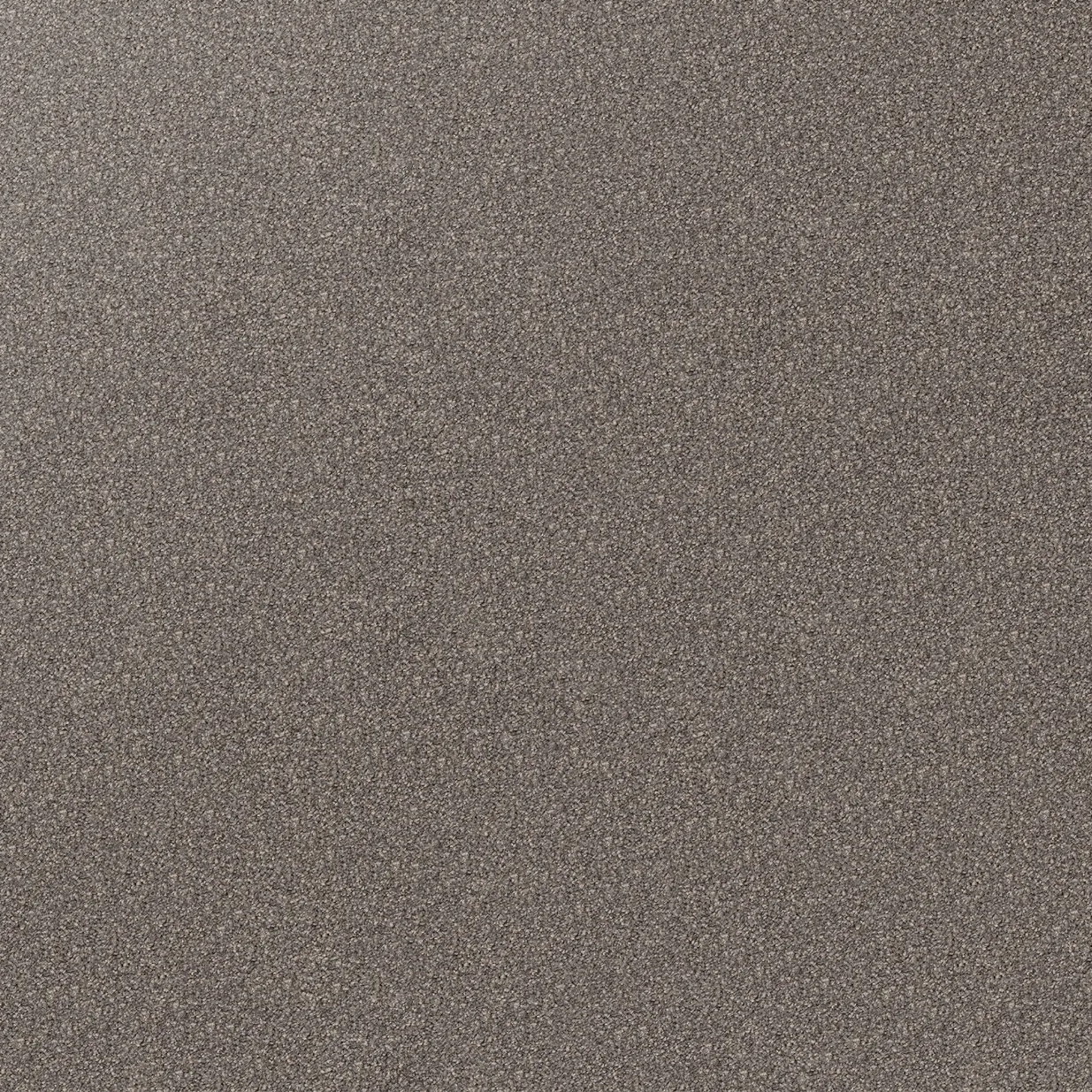 Regal Elegance Carpet