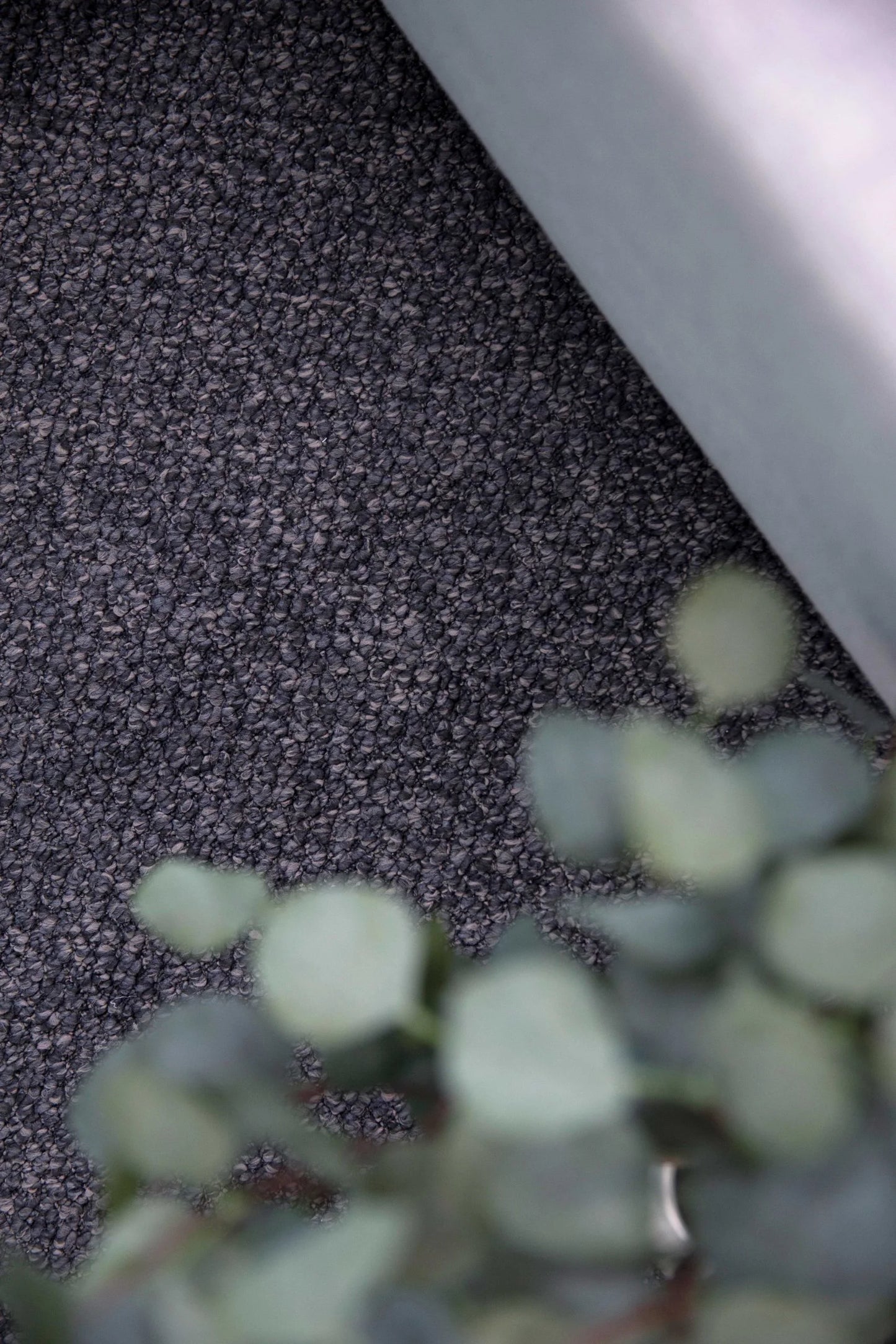 Montrosa Carpet
