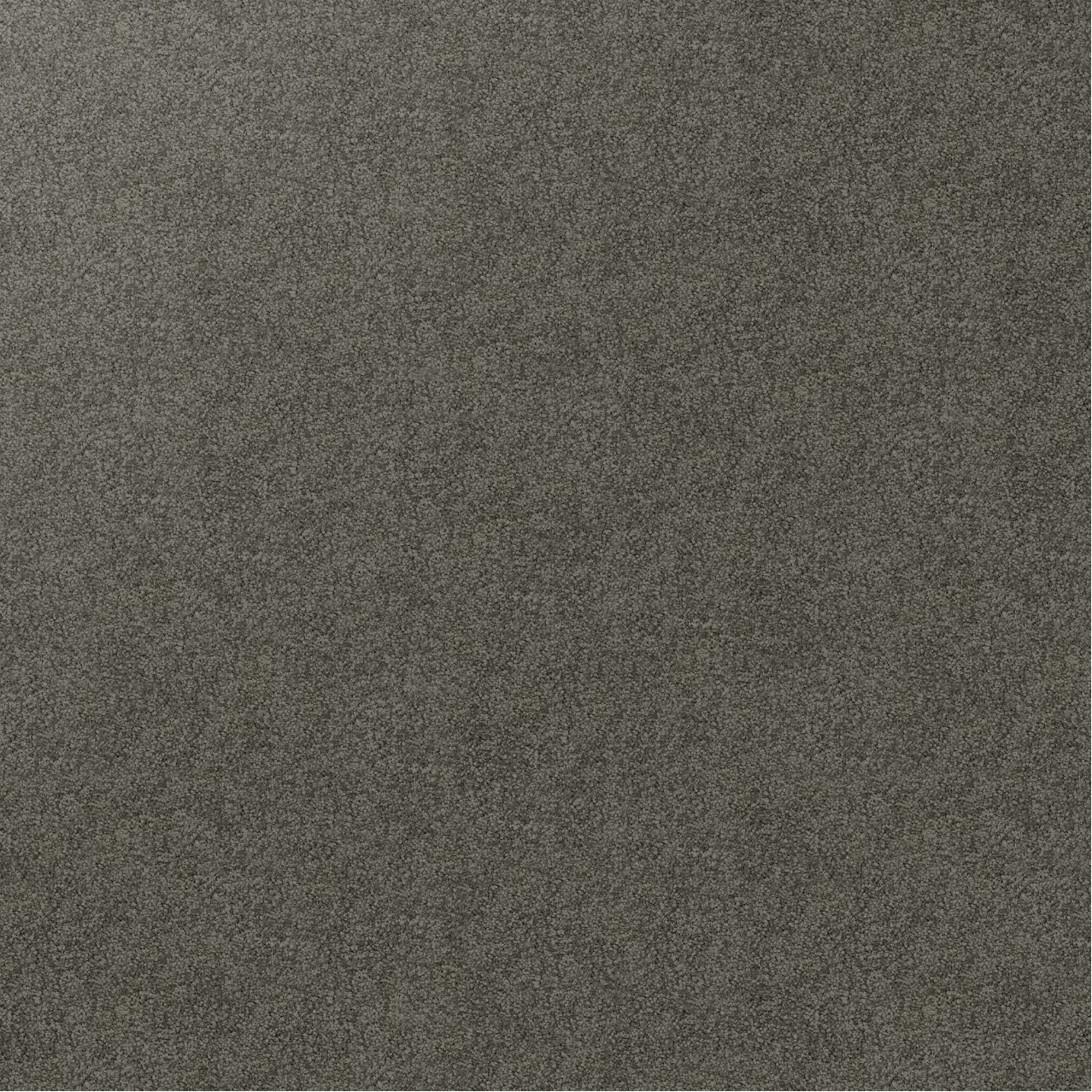 Sample of grey carpet, Beacon.