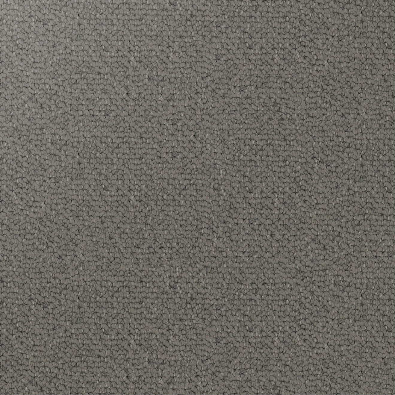 Close-up showing the chunky loop pile texture of solution dyed nylon carpet for family living spaces. Dark Grey