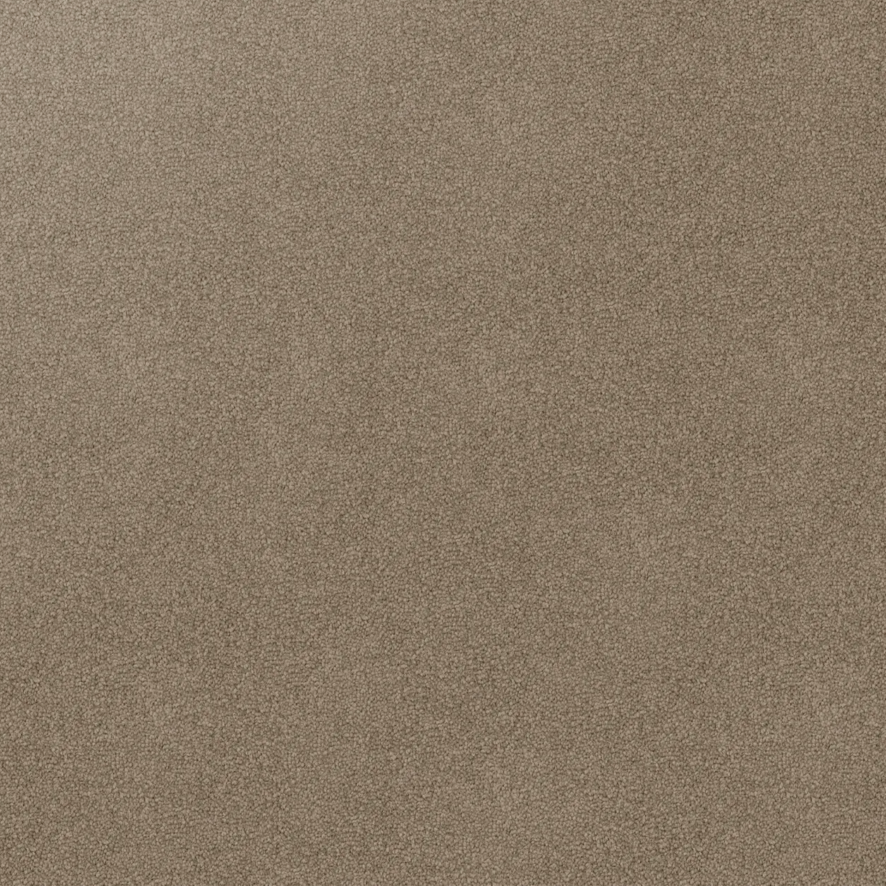 Plush triexta carpet texture by Godfrey Hirst in brown