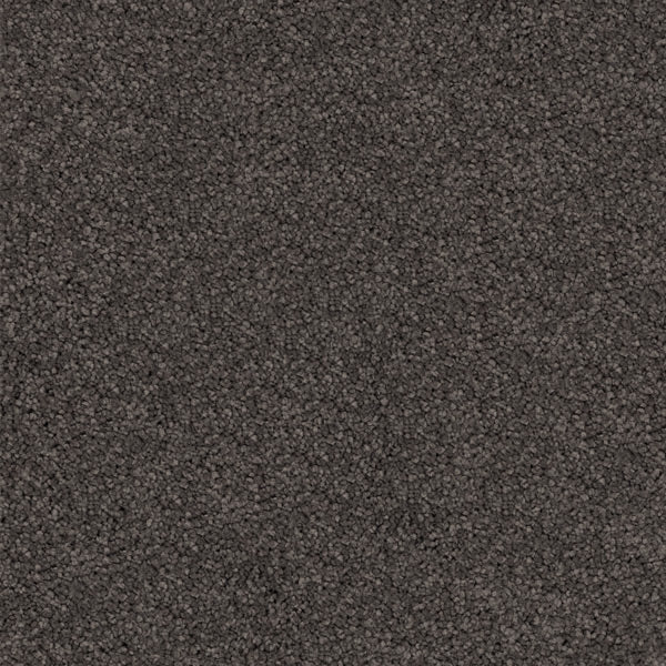 Gentle Essence Carpet