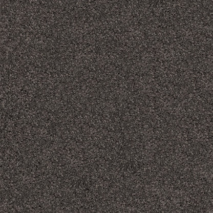 Gentle Essence Carpet