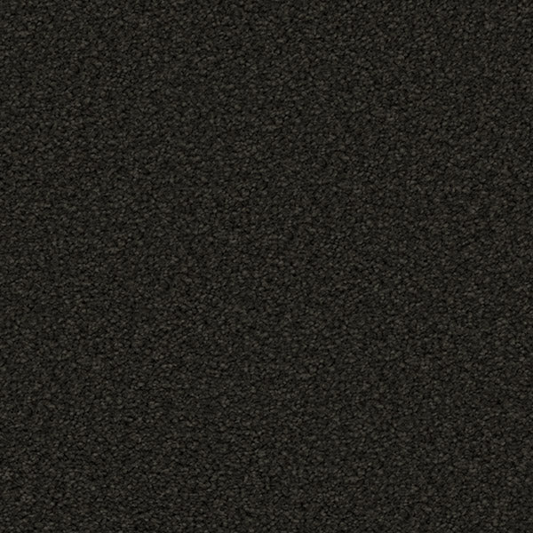 Gentle Essence Carpet