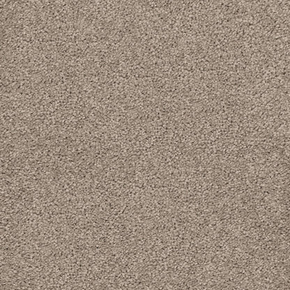 Gentle Essence Carpet