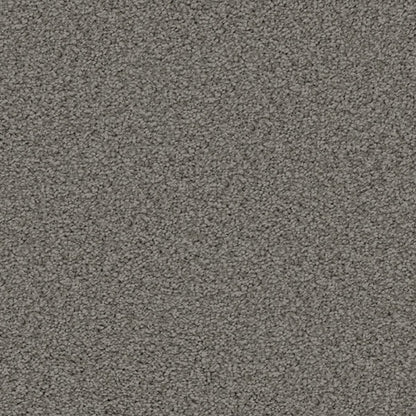 Gentle Essence Carpet