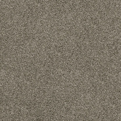 Gentle Essence Carpet