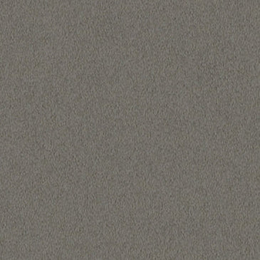 Lasting Touch Carpet