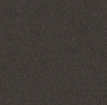 Lasting Touch Carpet
