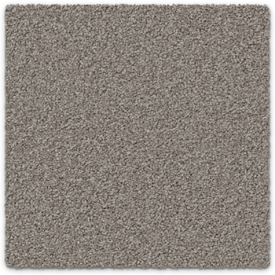 Regal Elegance Carpet