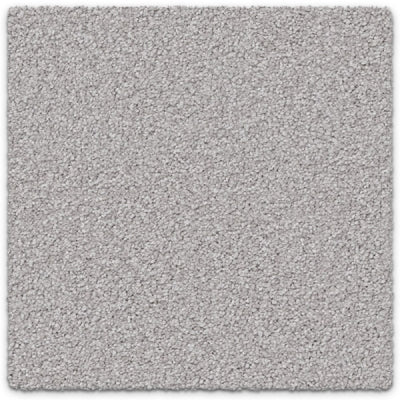 Regal Elegance Carpet