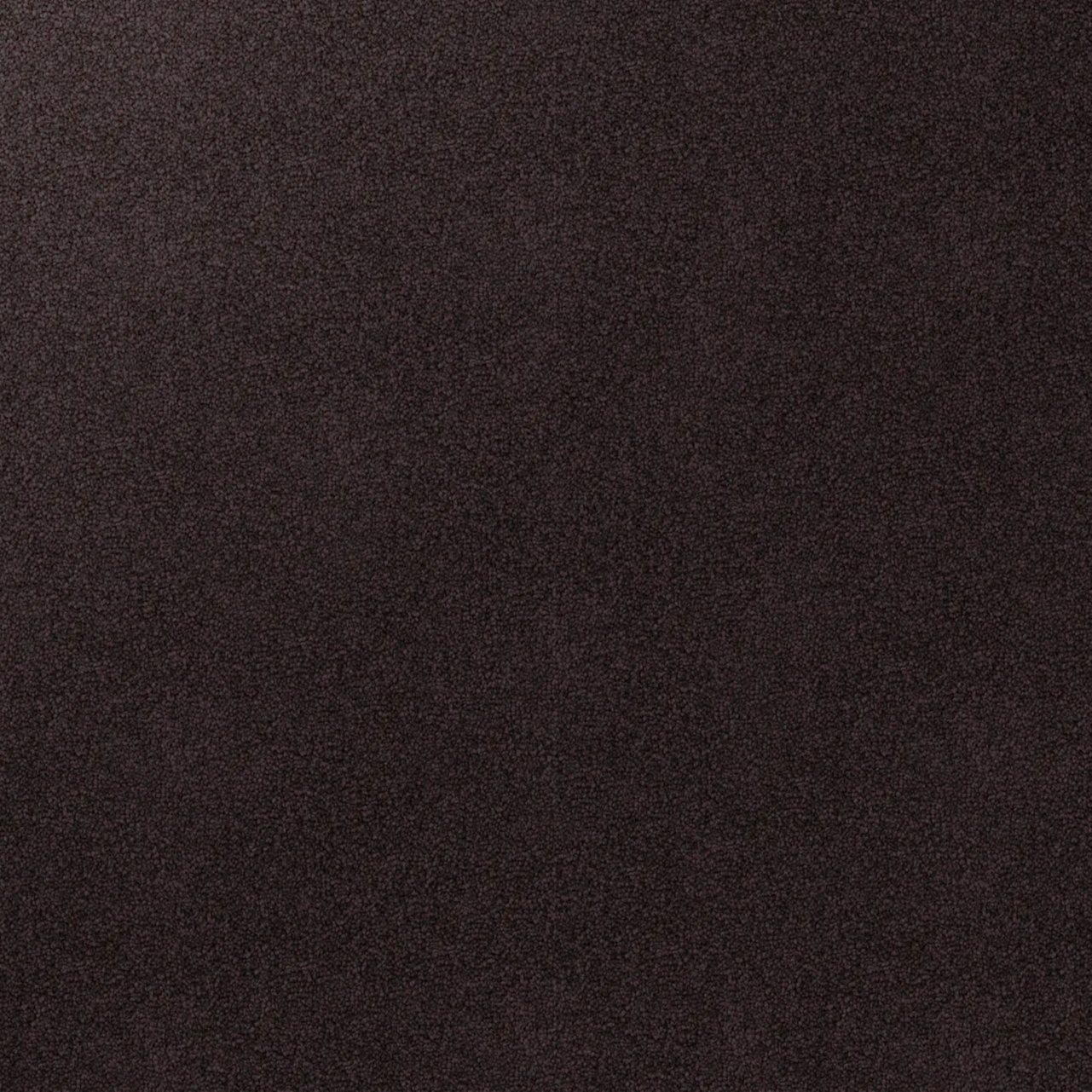 Detailed surface of Soft Sunrise carpet pile in velvet