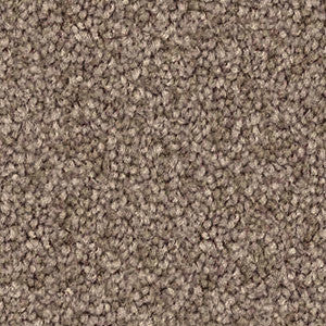Domain Rise Carpet