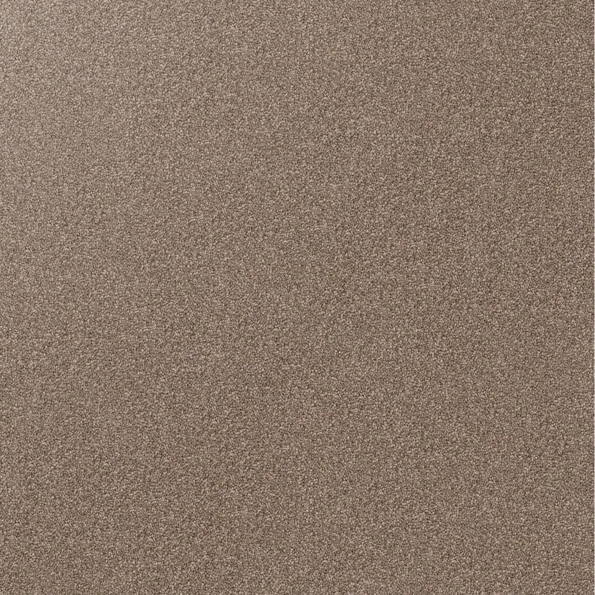 Domain Rise Carpet