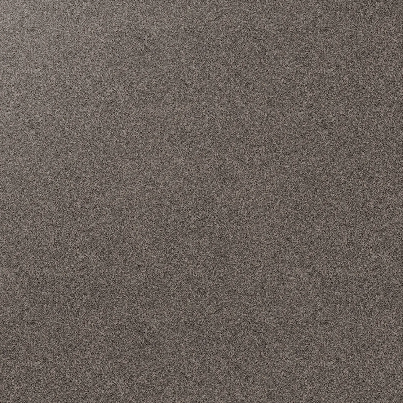 Sample of grey / brown carpet, Chestnut. 