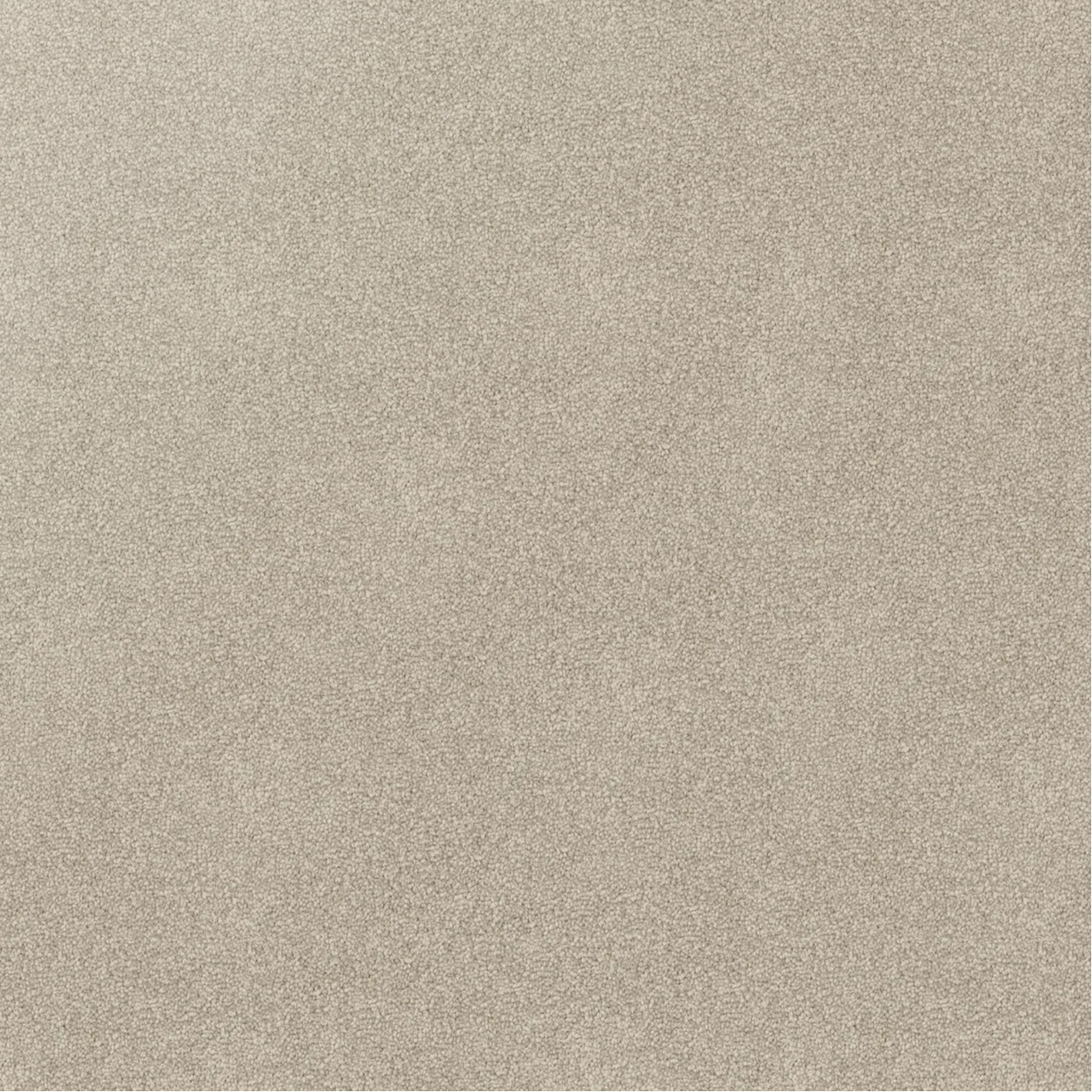 Close-up of a textured beige gray carpet