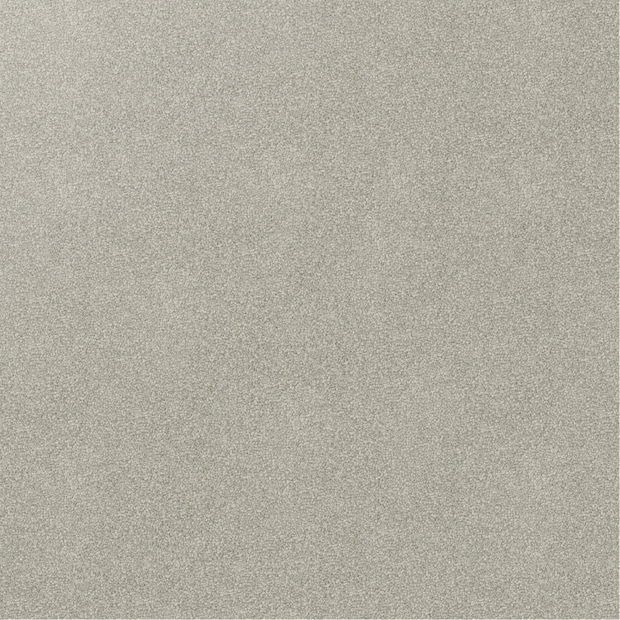 light Gray textured carpet