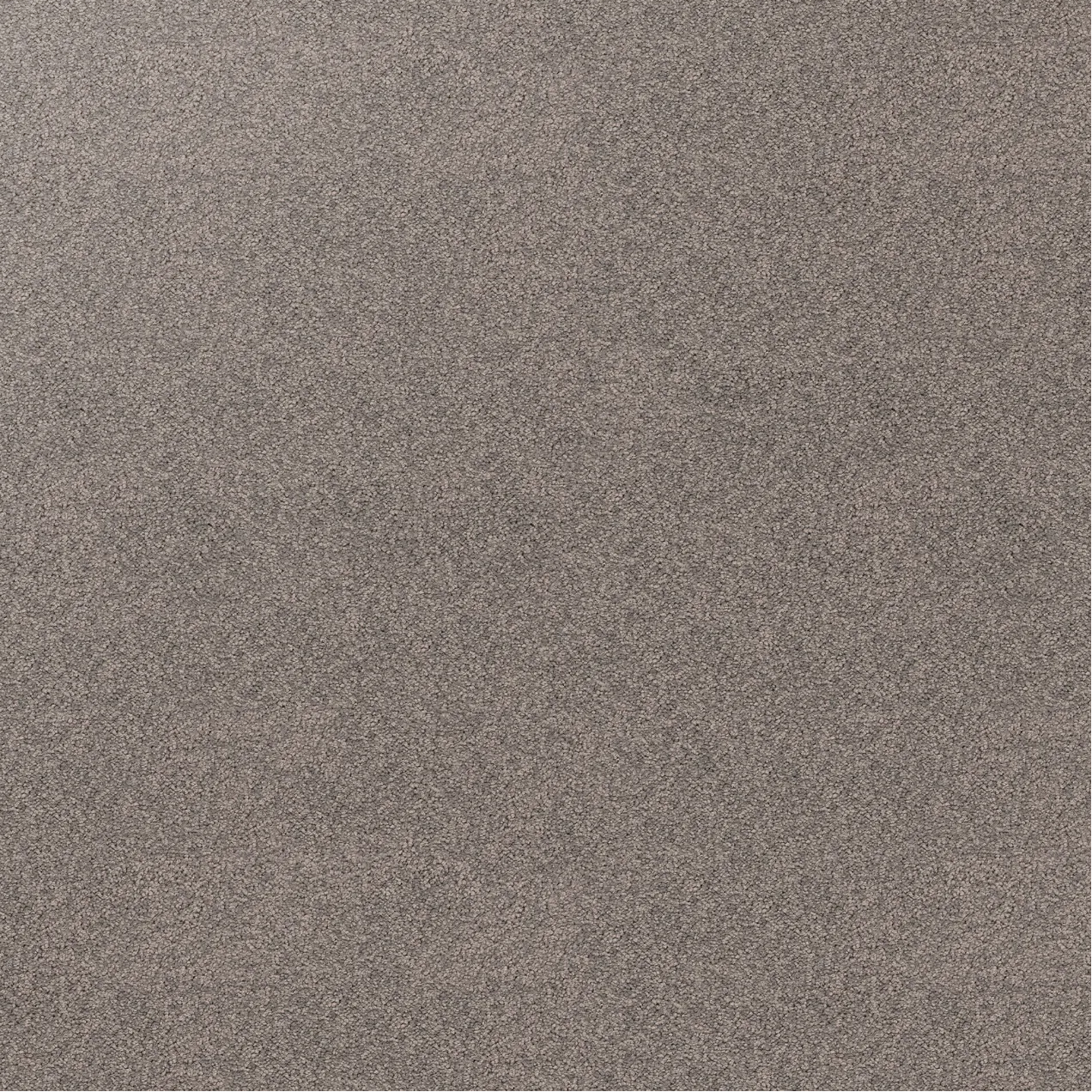 Sample of concrete grey carpet.