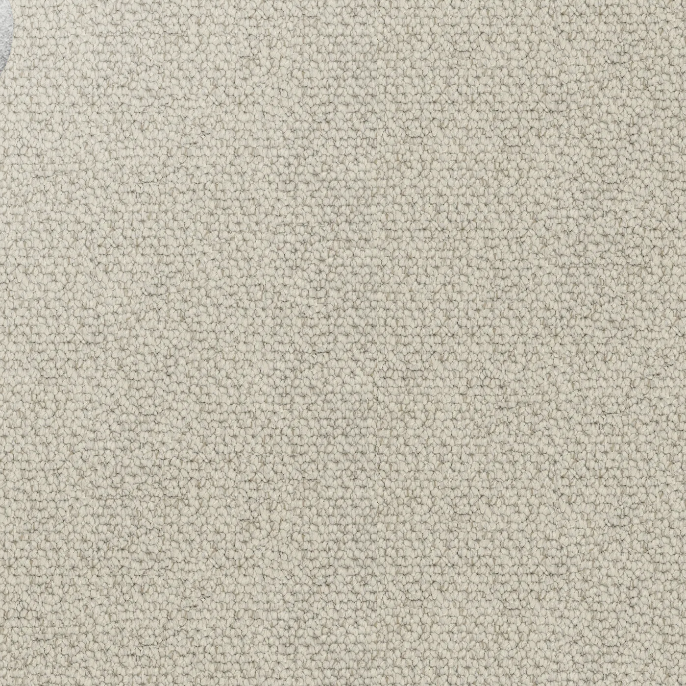 Close-up showing the chunky loop pile texture of solution dyed nylon carpet for family living spaces. Beige