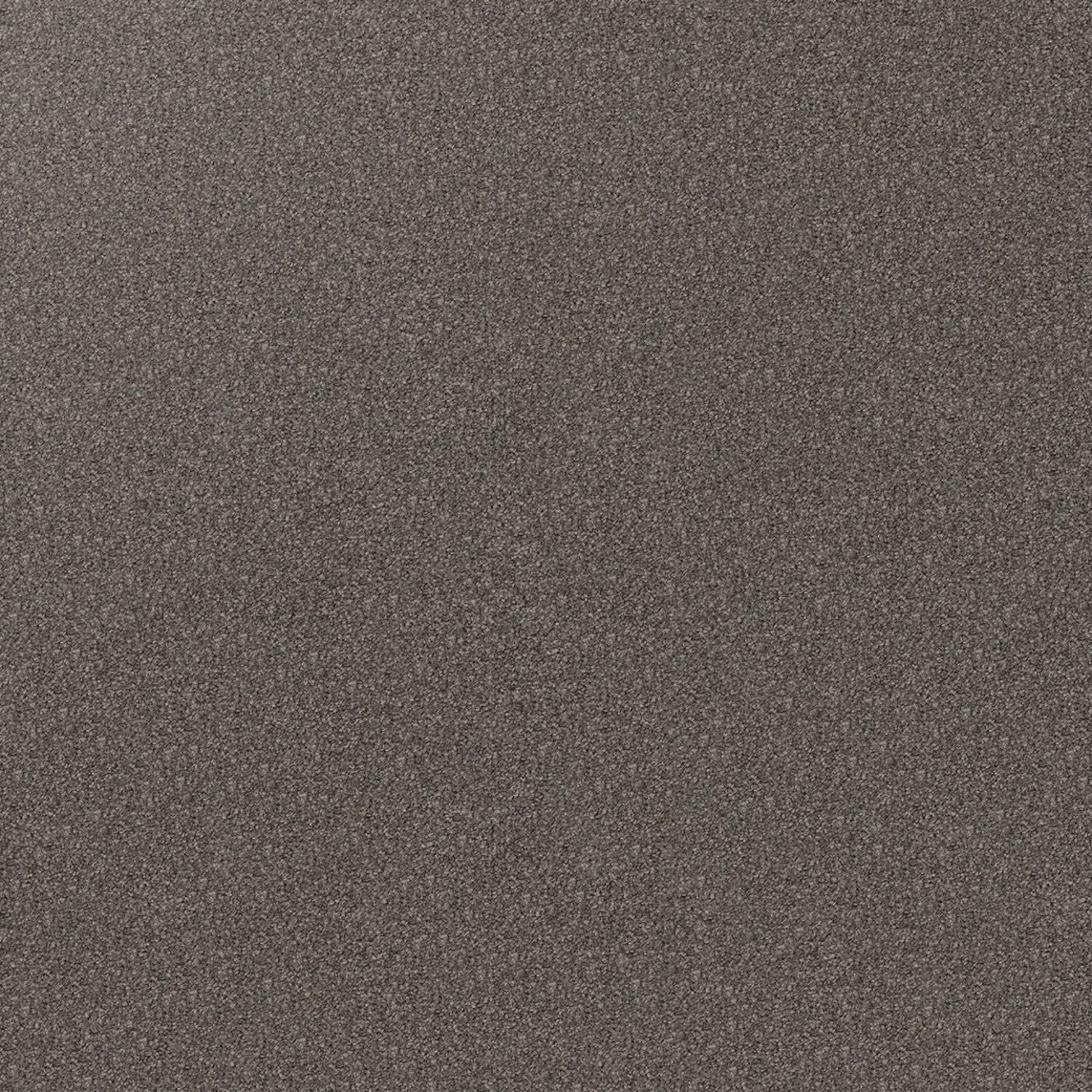Regal Elegance Carpet