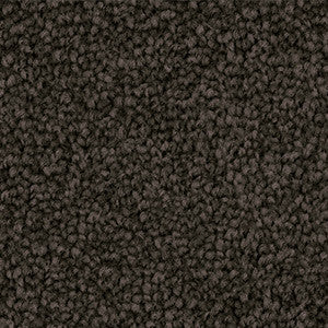 Close-up of Godfrey Hirst Inspirational Dark Shadow triexta carpet sample showing cut pile twist texture in a deep muted charcoal tone.
