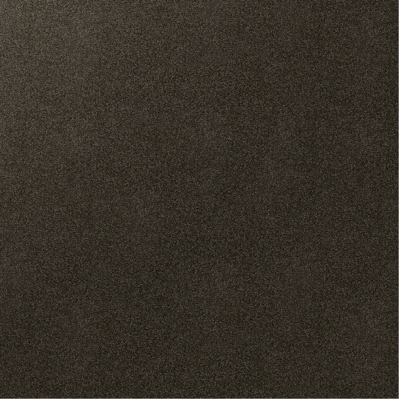 Godfrey Hirst Inspirational Dark Shadow triexta carpet sample showing cut pile twist texture in a deep muted charcoal tone.